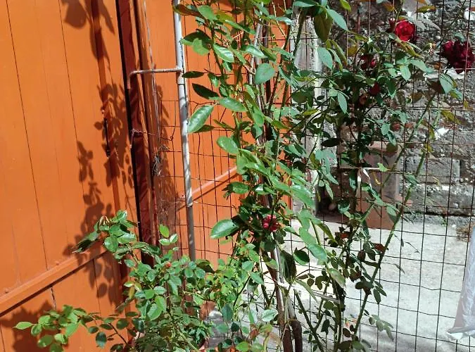 度假居 Sermi's House *