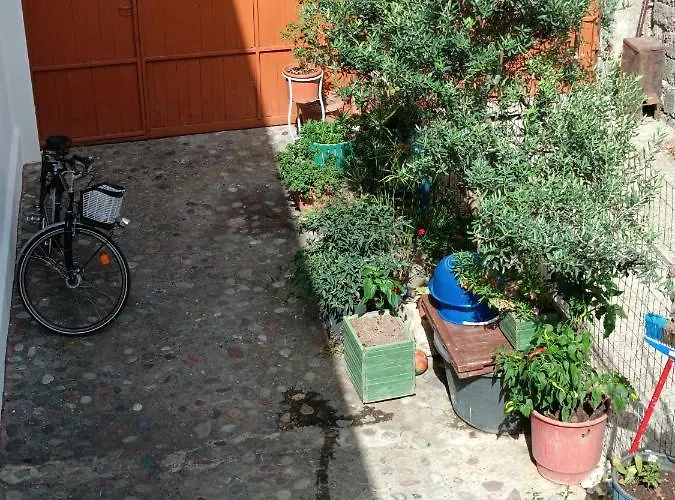 Dom wakacyjny Sermi's House